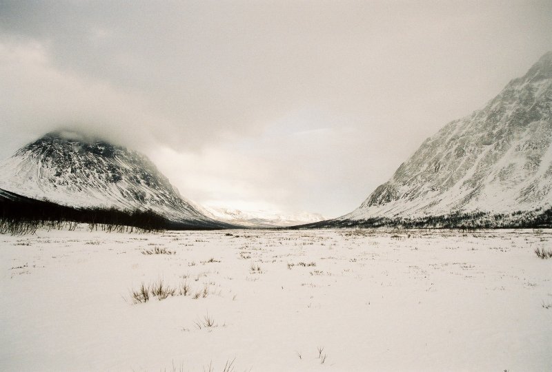85.jpg