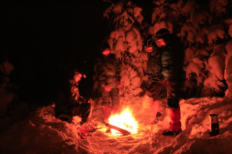 lumeilves4.jpg
