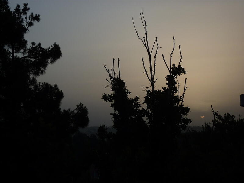 P1000941.JPG