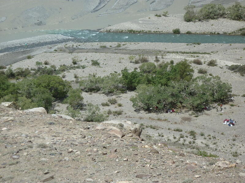 P1010082.JPG