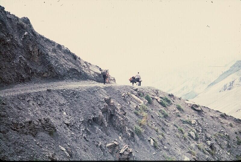 CNV000007