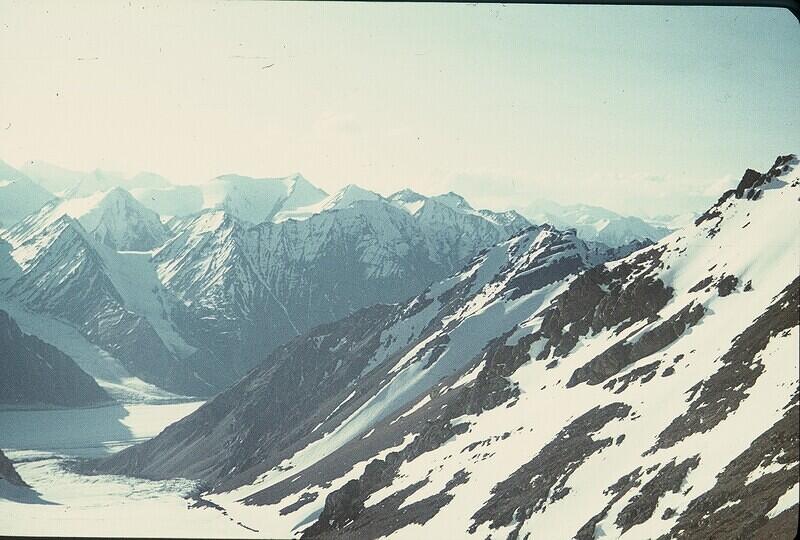 CNV000013
