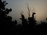 P1000941.JPG