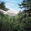 Dolomiidid 1
