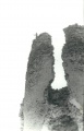 Suuk43.jpg